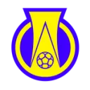 Brasileirão Serie B logo