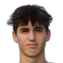 Luca Barani photo