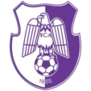 FC Argeș Pitești logo