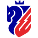 FC Botoșani logo