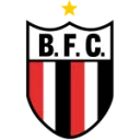 Botafogo-SP logo
