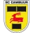 SC Cambuur logo