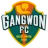 Gangwon FC logo