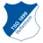 TSG Hoffenheim logo